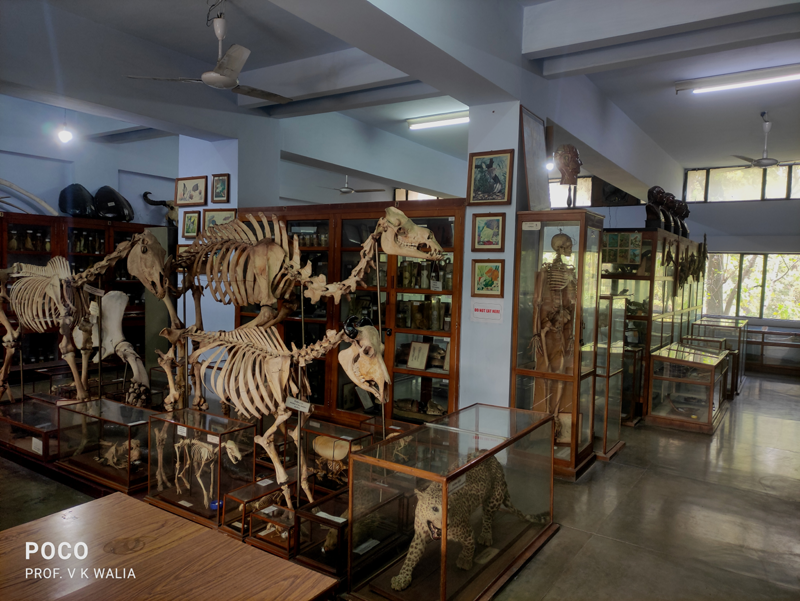 Zoology Laboratory